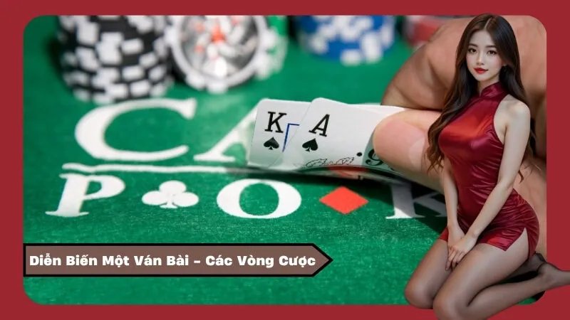 Diễn Biến Một Ván Bài - Các Vòng Cược