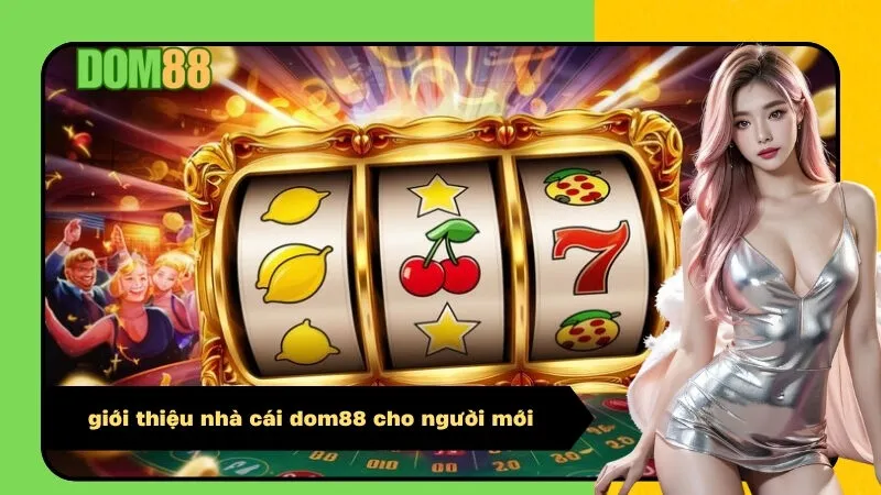 giới thiệu nhà cái dom88 cho người mới