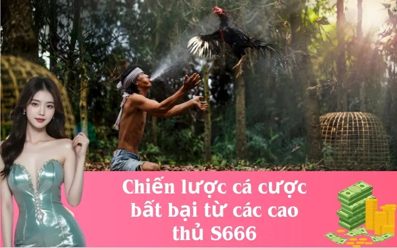 Chiến lược cá cược bất bại từ các cao thủ S666