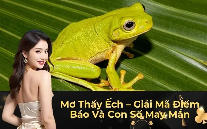Mơ Thấy Ếch – Giải Mã Điềm Báo Và Con Số May Mắn
