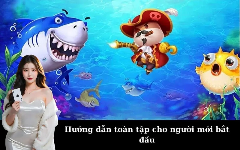 Hướng dẫn toàn tập cho người mới bắt đầu