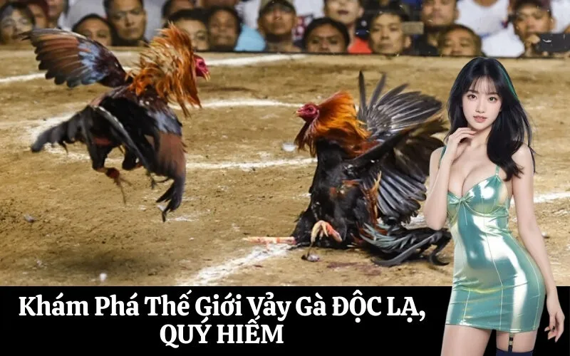 Khám Phá Thế Giới Vảy Gà ĐỘC LẠ, QUÝ HIẾM
