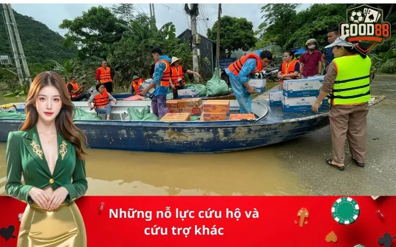 Những nỗ lực cứu hộ và cứu trợ khác