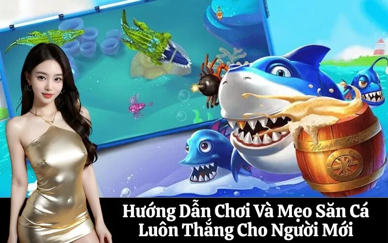 Hướng Dẫn Chơi Và Mẹo Săn Cá Luôn Thắng Cho Người Mới