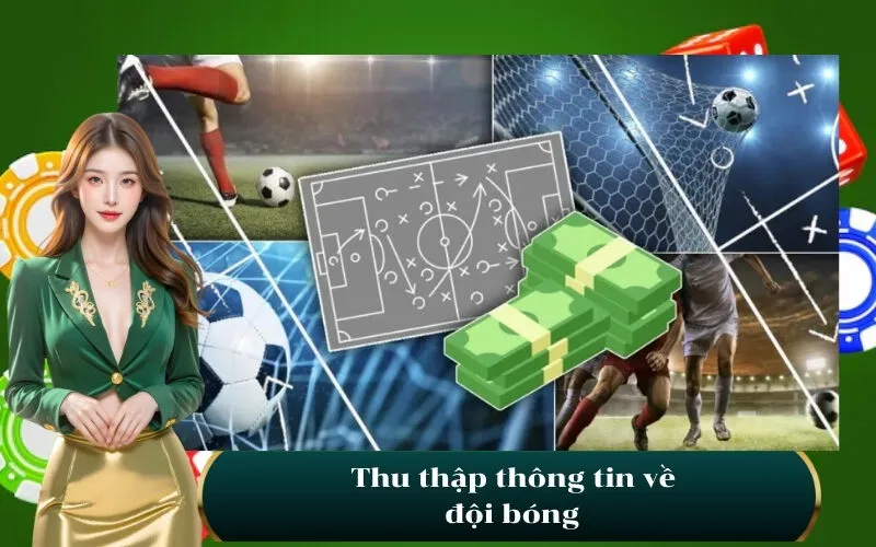Thu thập thông tin về đội bóng